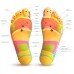 Especialista em Reflexologia Podal Curso online gratis profissionalizante complementar