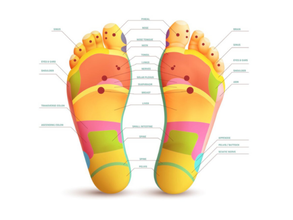 Especialista em Reflexologia Podal - Curso online grátis profissionalizante complementar