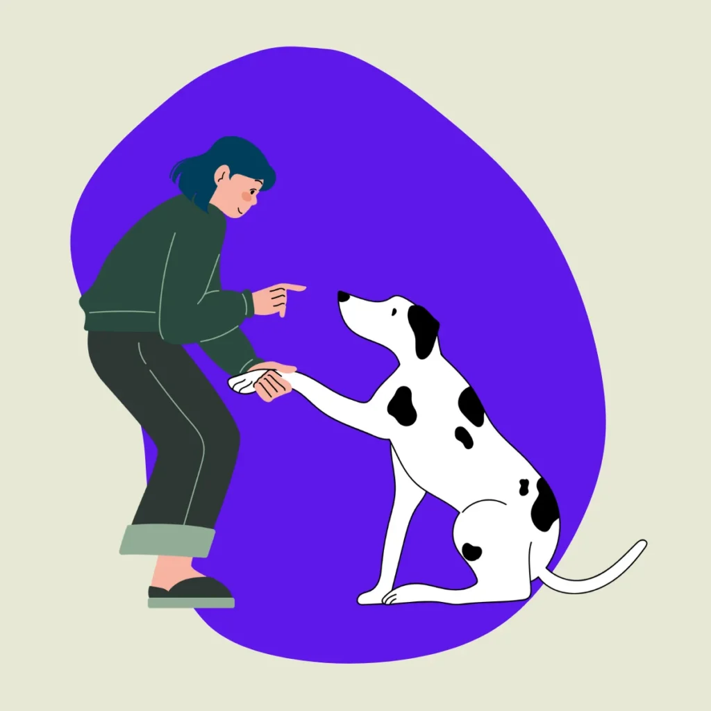 Adestramento de Cães: Fundamentos e Boas Práticas