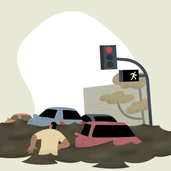 Atuação do Assistente Social em Desastres e Emergências Sociais