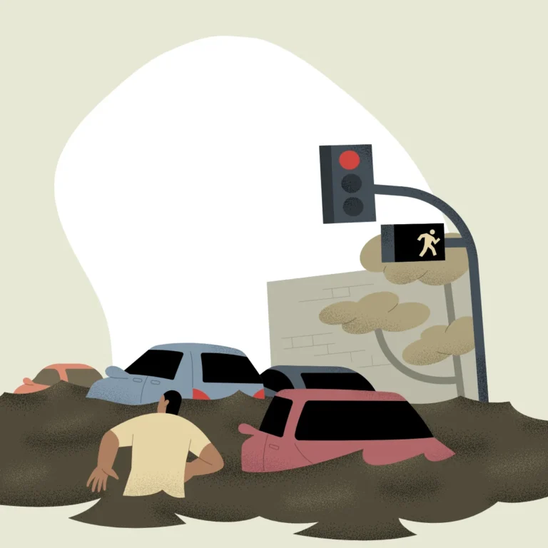 Atuação do Assistente Social em Desastres e Emergências Sociais