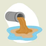 Avaliacao de Impacto Ambiental para Projetos