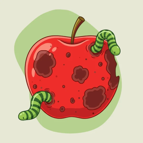 Fundamentos de Decomposição em Sistemas Ecológicos