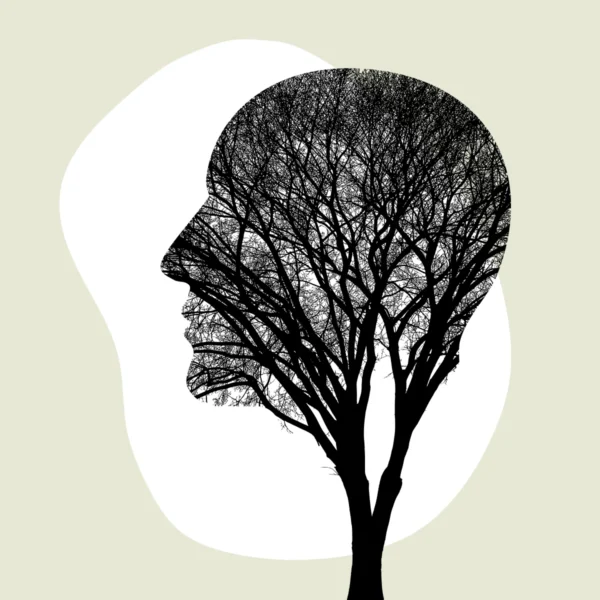 Fundamentos de Deep Learning e Redes Neurais