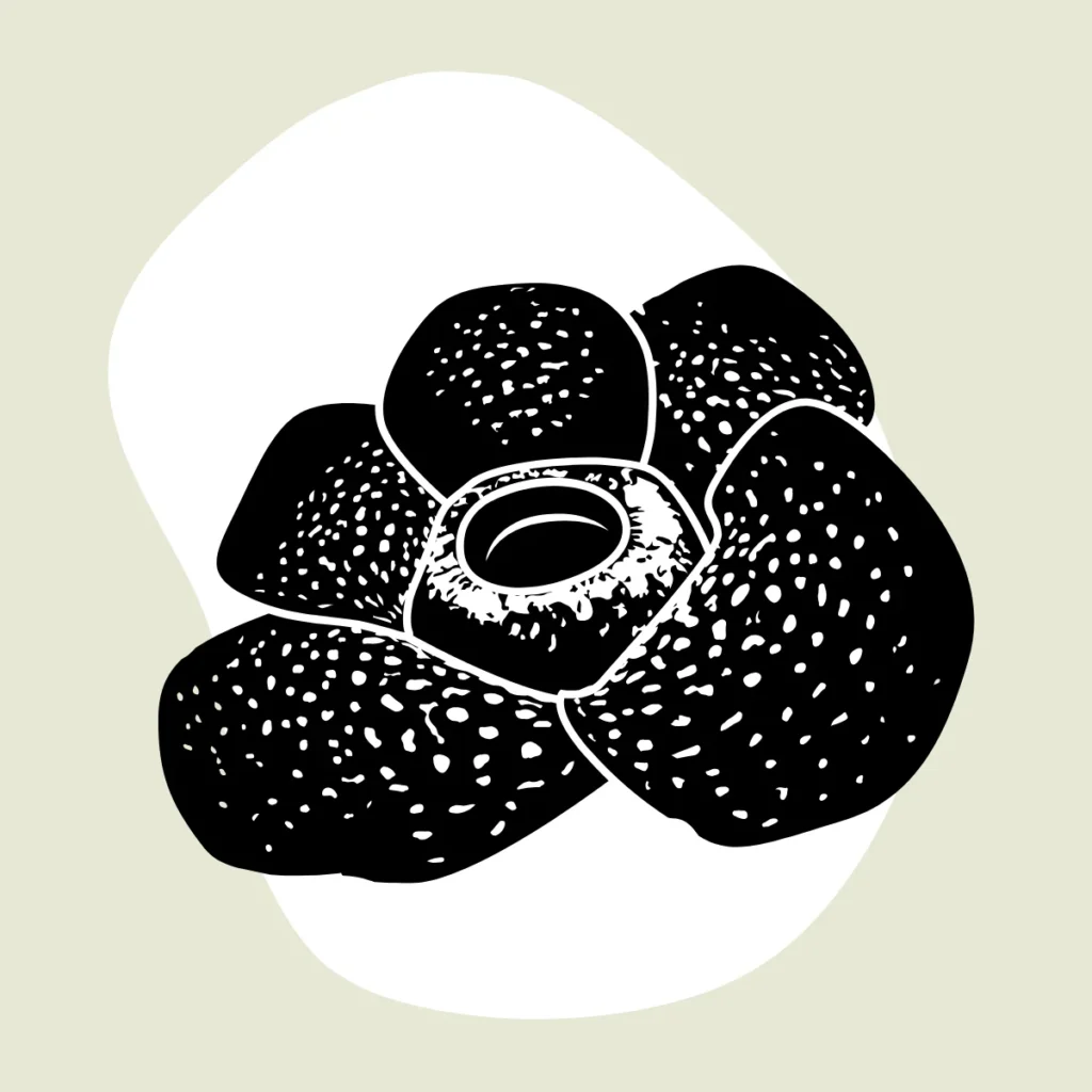 Fundamentos para Auxiliar Técnico em Necropsia