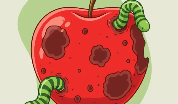 Fundamentos de Decomposição em Sistemas Ecológicos