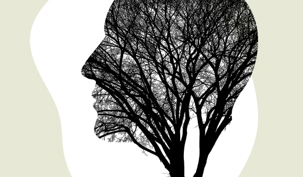 Fundamentos de Deep Learning e Redes Neurais