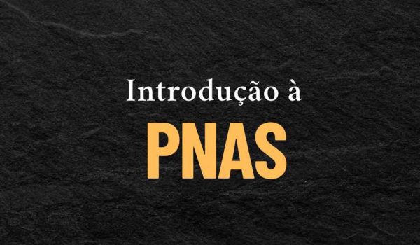 Introdução à Política Nacional de Assistência Social (PNAS) - Curso online grátis profissionalizante complementar